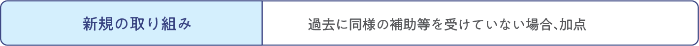 新規の取り組み